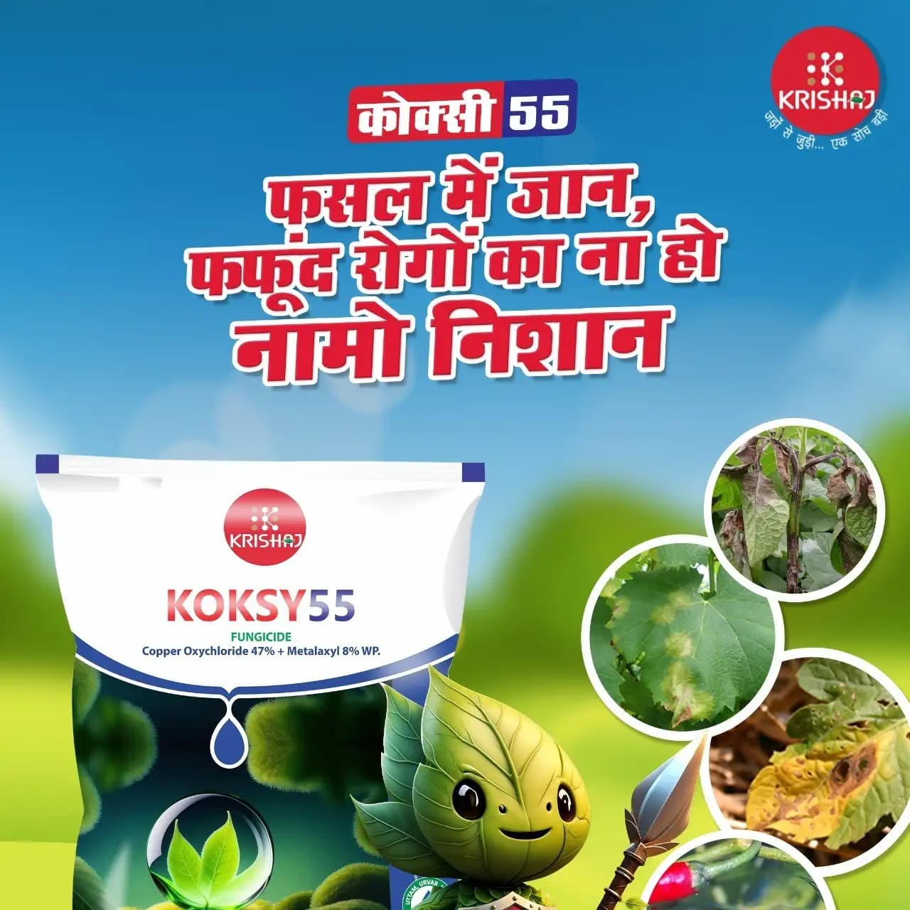 Krishi Rasayan KOKSY55 Copper Oxychloride 47% + Metalaxyl 8% WP Fungicides, Effective Fungal Diseases Control In Crops - Image 2
