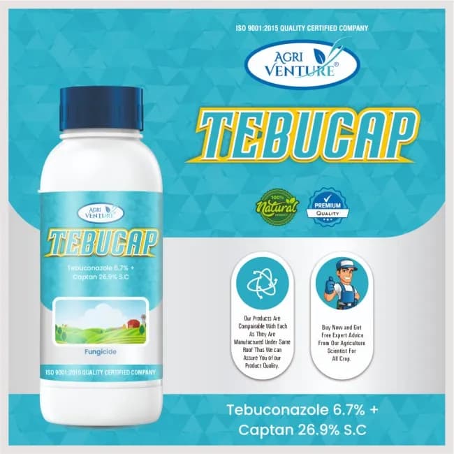 Agriventure TEBUCAP Tebuconazole 6.7% + Captan 26.9% SC Fungicide, Contact and Systemic, Impacts Multiple Stages of Fungal Growth. - Image 2