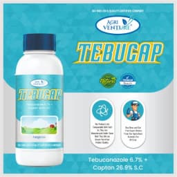 Agriventure TEBUCAP Tebuconazole 6.7% + Captan 26.9% SC Fungicide, Contact and Systemic, Impacts Multiple Stages of Fungal Growth. 2