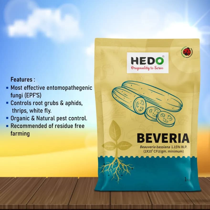 HEDO Beveria (Beauveria Bassiana 1.15% WP) Powder Bio Pesticide For Vegetables, Fruits & All Crops, Broad Spectrum Control - Image 4