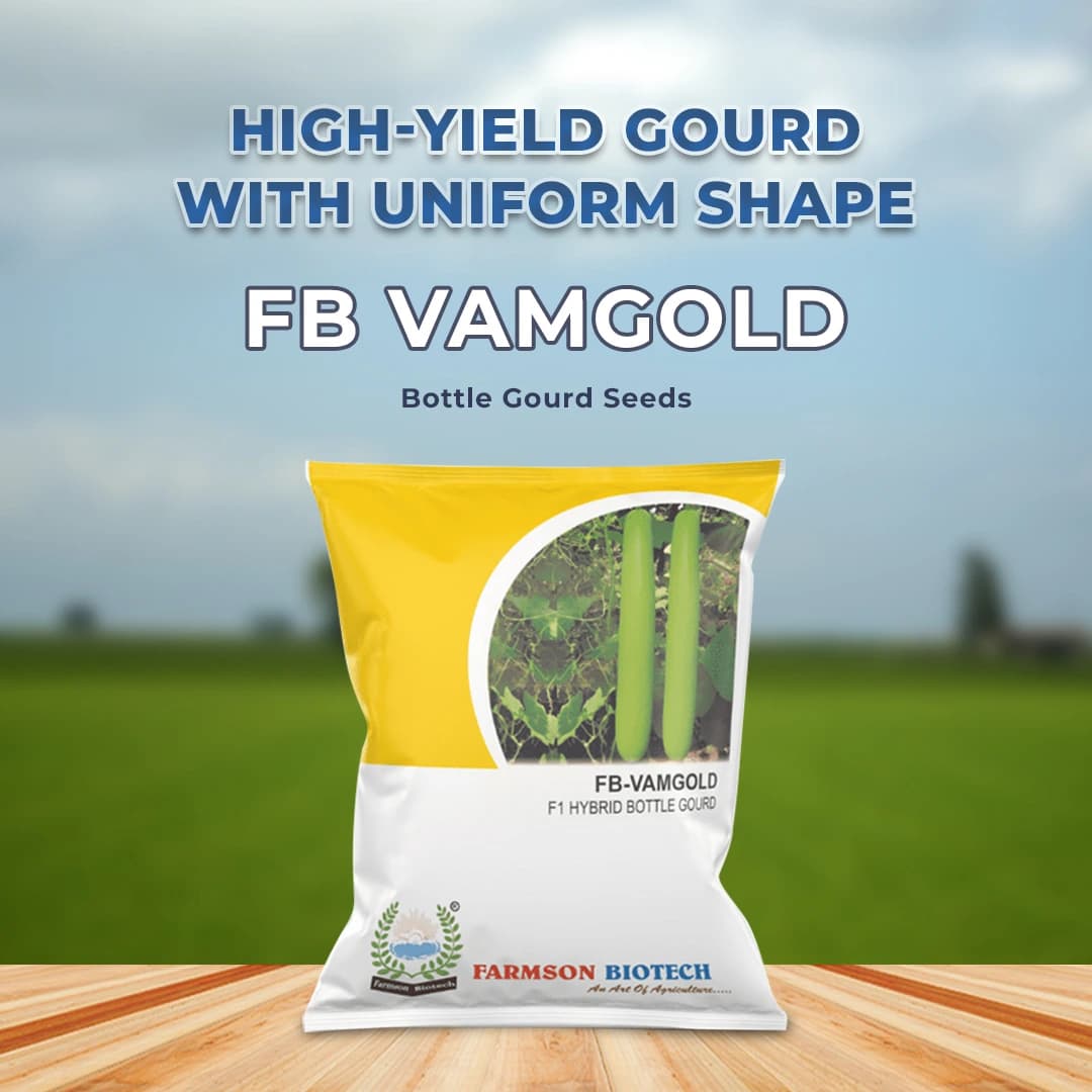 Farmson FB Vamgold F1 Hybrid Bottle Gourd Seeds, High Yielding Variety, Dark Green Uniform Glossy - Image 2
