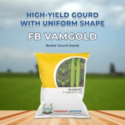Farmson FB Vamgold F1 Hybrid Bottle Gourd Seeds, High Yielding Variety, Dark Green Uniform Glossy 2