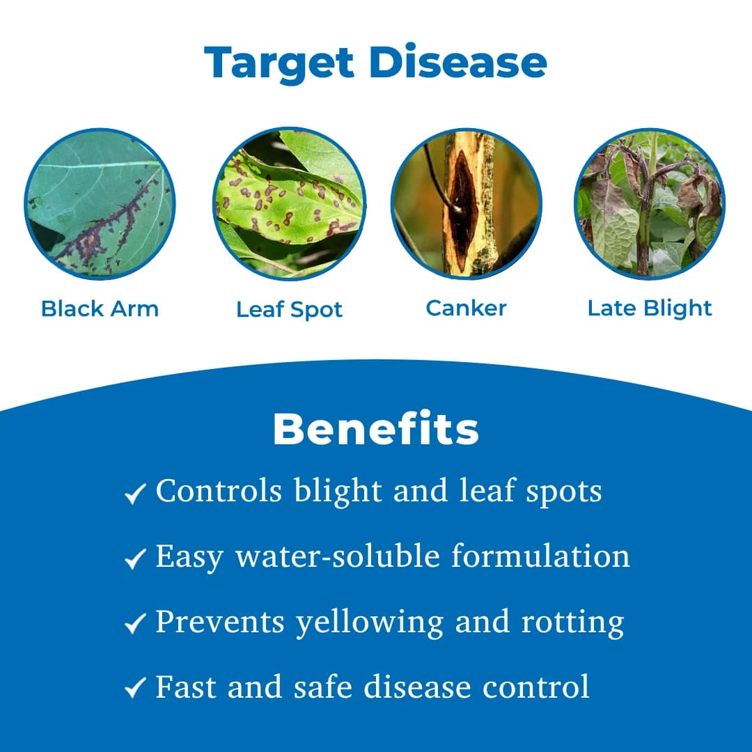 Hindustan Antibiotics Streptocycline - Image 3