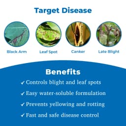 Hindustan Antibiotics Streptocycline, Streptomycin Sulphate 90% + Tetracycline Hydrochloride 10%, Effective Control Of Bacterial Diseases Of Plants 3