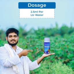 Katyayani Imida IMIDACLOPRID 30.5% SC Systematic Insecticide Control of Sucking Pest Aphid, Jassid, Thrips And Termites 5