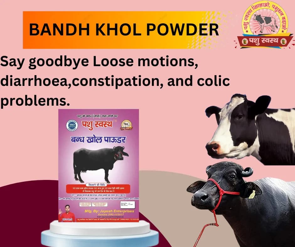 PASHU SVASTH BANDH KHOL POWDER, Holistic Care For Constipation And Diarrhoea - Image 5