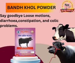 PASHU SVASTH BANDH KHOL POWDER, Holistic Care For Constipation And Diarrhoea 5