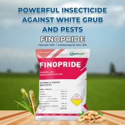 Finopride - Fipronil 40% + Imidacloprid 40% WG Unique Insecticide, Control White Grub and Sucking Pests 2