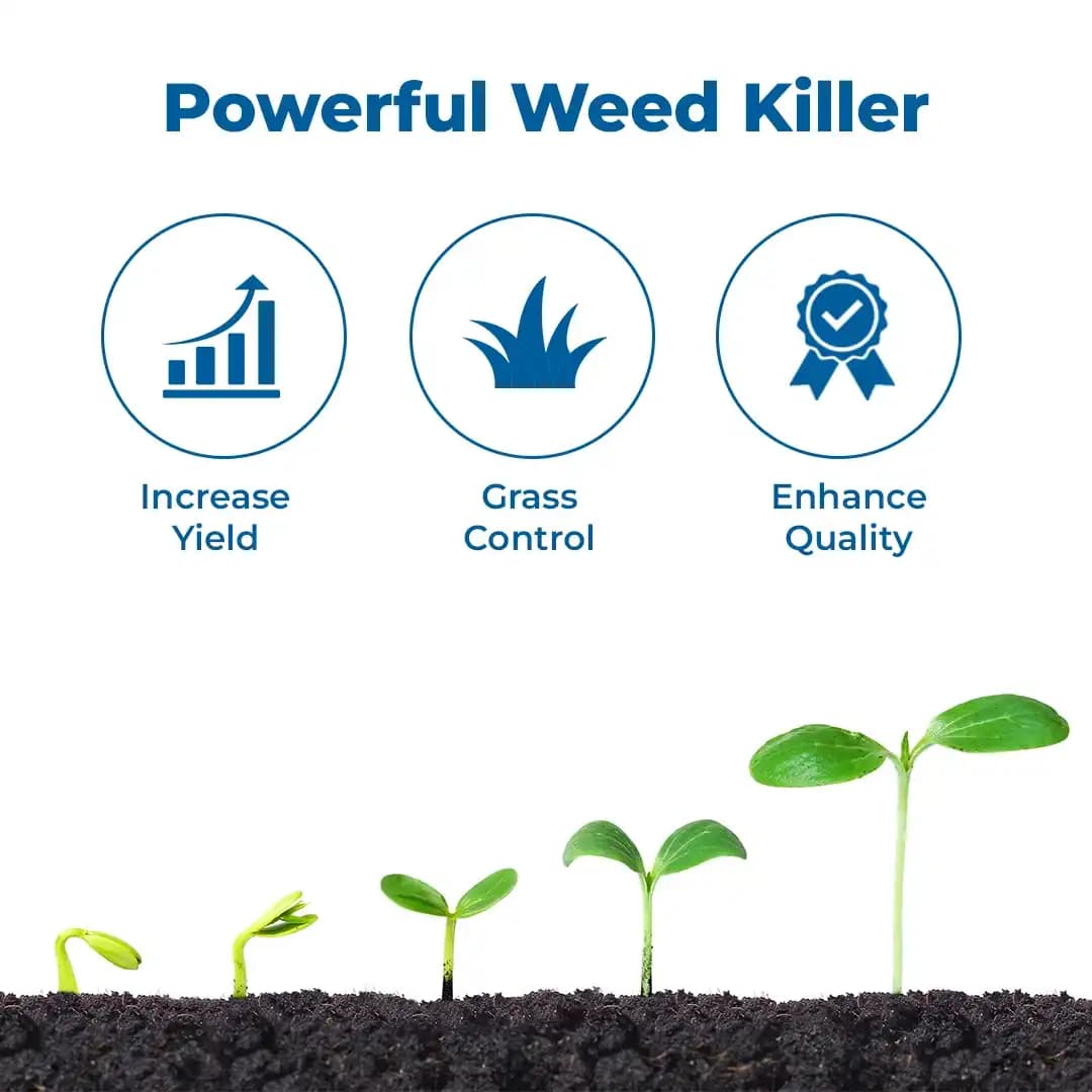 Bayer Ricestar Fenoxaprop-p-ethyl 6.9 EC, Selective Herbicide Post Emergent Herbicide. - Image 3