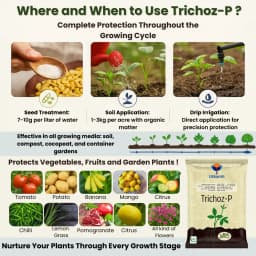 Utkarsh Trichoz-P (Trichoderma Viride 1.5% W.P.) Bio Pesticides, Protects Crop & Plants Against Soil-Borne Pathogens 2