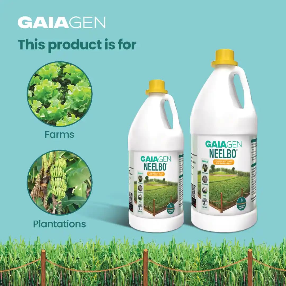 Gaiagen Neelbo Natural Formulation to Repel Wild Boars, Porcupines, Bison & Blue Bulls Without harming Them - Image 6