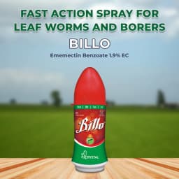 Crystal Crop Billo Ememectin Benzoate 1.9% EC. Effective insecticides for Cotton Bollworms and Tomato Fruit Borer 2