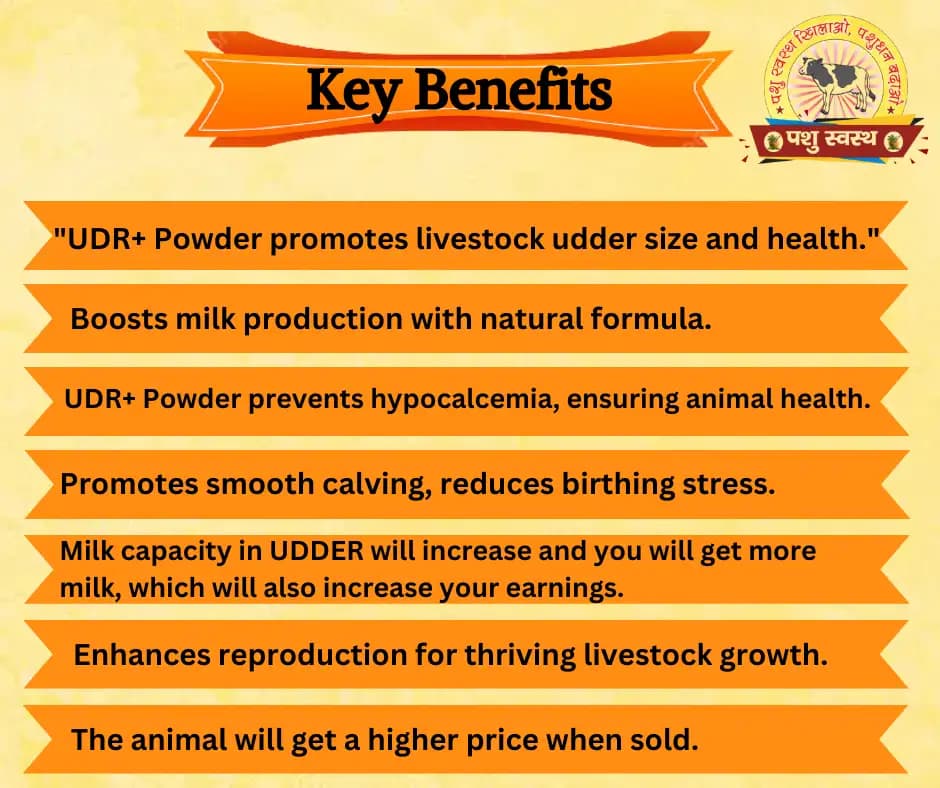 PASHU SVASTH UDR+ POWDER, Herbal Udder (Levity, Thun) Milk Enhancer For Cows And Buffaloes - Image 3
