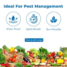 ग्रीन रेवोलुशन वाइट स्टिकी ट्रैप्स, ए4 साइज, फ्लावर थ्रिप्स और ब्लैक थ्रिप्स के लिए उपयोग करें। 4