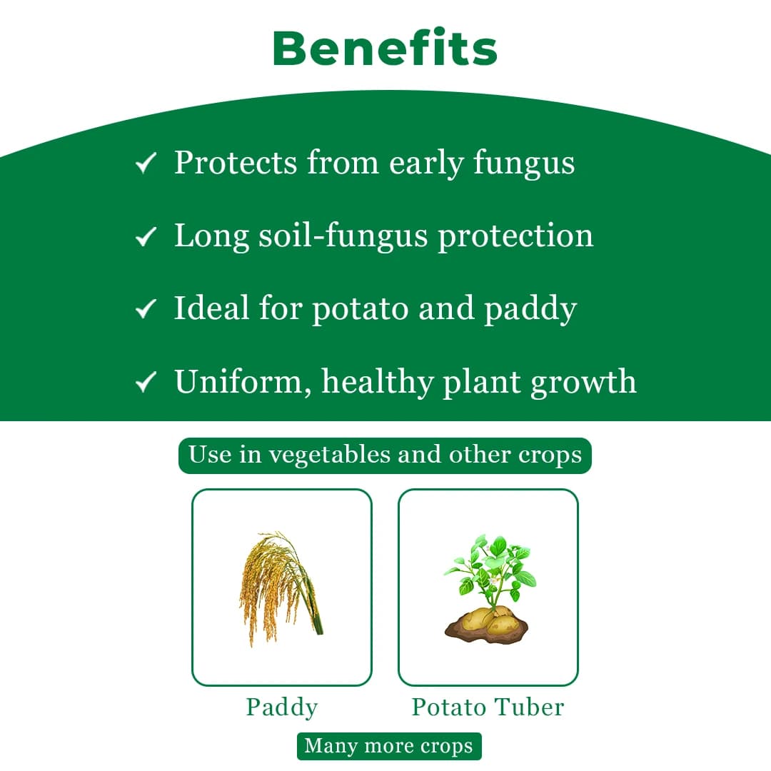 Crystal Monceren Pencycuron 22.9% SC, Non-Systemic Contact Fungicide, Used As Foliar Spray - Image 4
