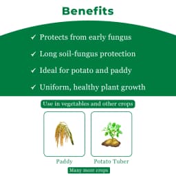 Crystal Monceren Pencycuron 22.9% SC, Non-Systemic Contact Fungicide, Used As Foliar Spray 4