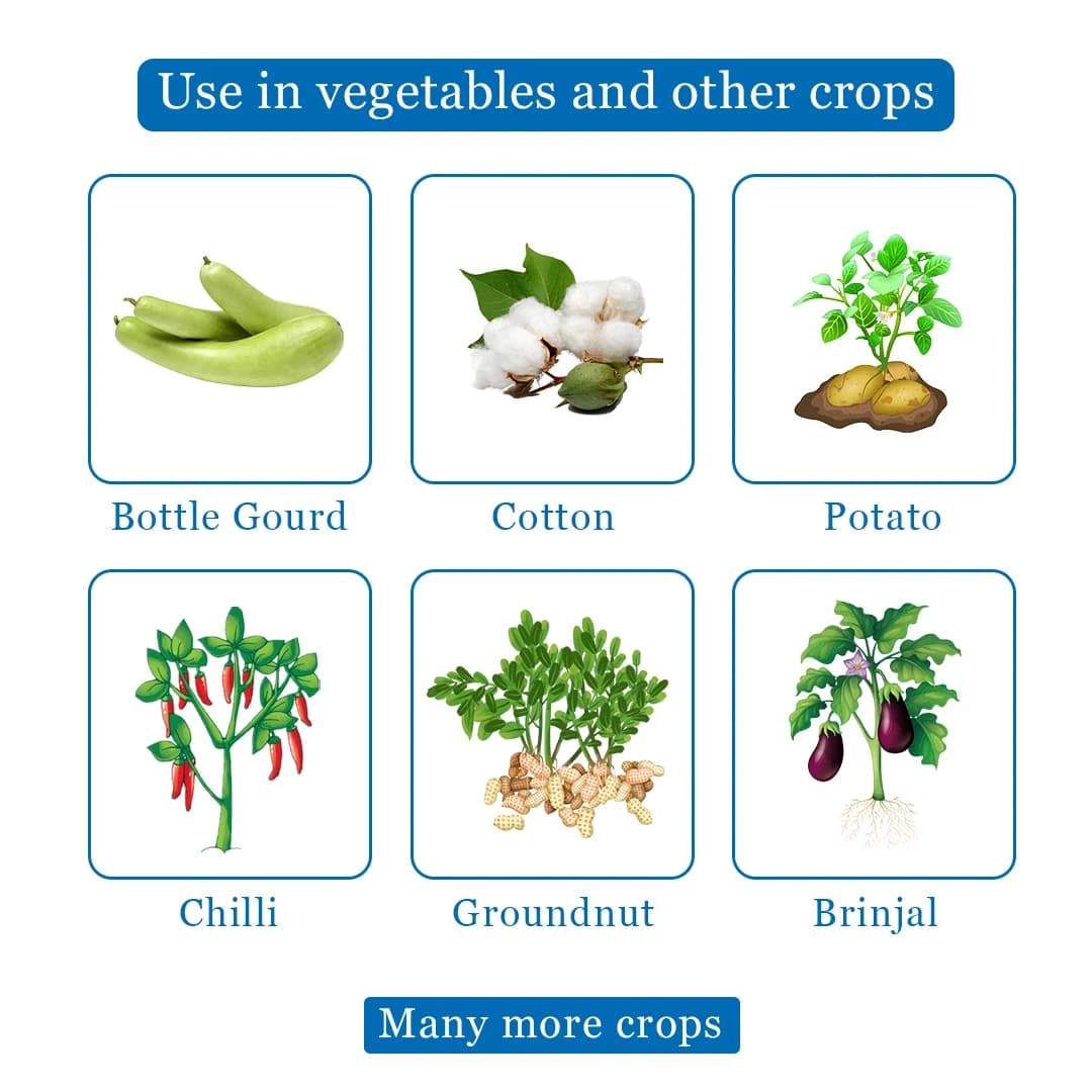 BACF BPRID - Acetamiprid 20% SP Systemic Insecticide, Best For Cotton, Vegetable, And Fruit Crops - Image 4