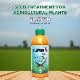 GSP Slayer PRO Thiamethoxam 30% FS Insecticide, Systemic Seed Treatment Insecticide. 2