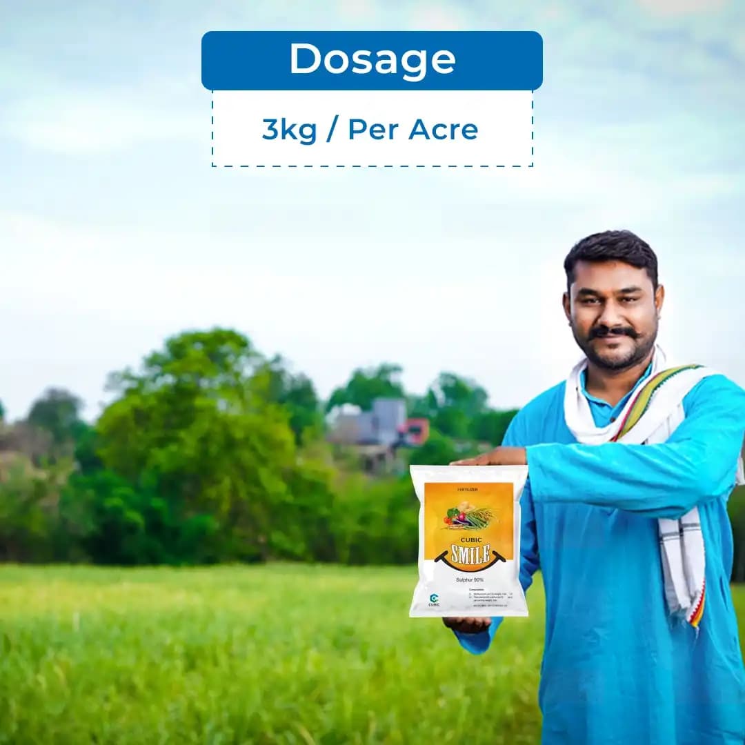 Cubic Smile, Sulphur 90% Powder, Micronutrient Fertilizers Which is Readily Dispersible In Water - Image 5