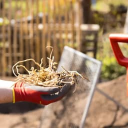 वुल्फ गार्टन बेड ग्लव्स (GH-BO 7), बागवानी, खेती और कृषि के लिए उपयुक्त गार्डन ग्लव्स 5