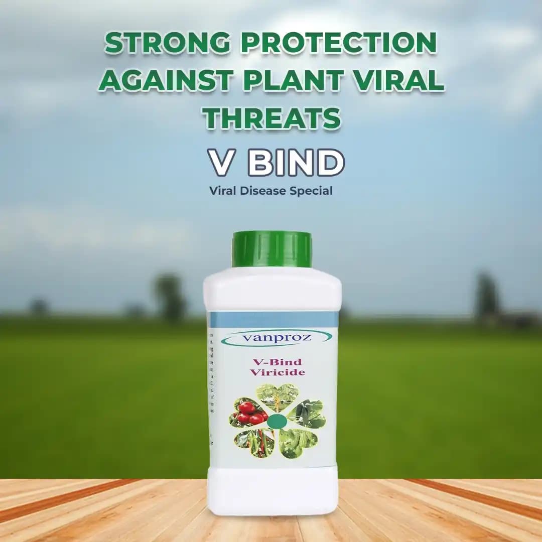 V Bind Viral Disease Special, Cure against Viral diseases, Treating Leaf Mosaic, Bunchy Top, Leaf Curl, and Other Viral Diseases. - Image 2