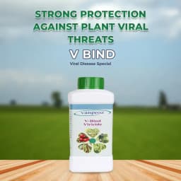 V Bind Viral Disease Special, Cure against Viral diseases, Treating Leaf Mosaic, Bunchy Top, Leaf Curl, and Other Viral Diseases. 2