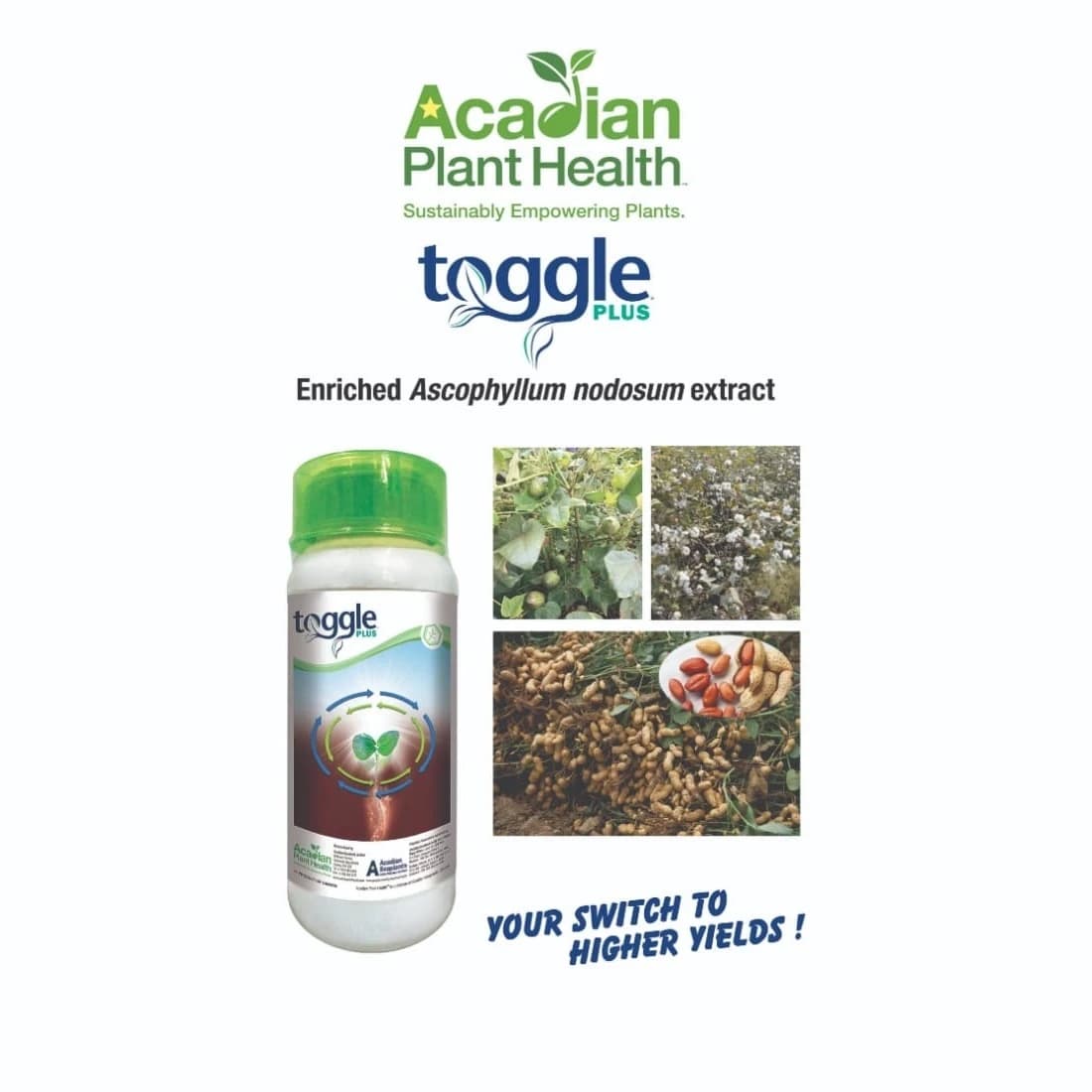 Acadian Toggle Plus Plant Growth Regulator, Helps Enhance Yields and Defend Against Yield-Robbing Impacts - Image 2