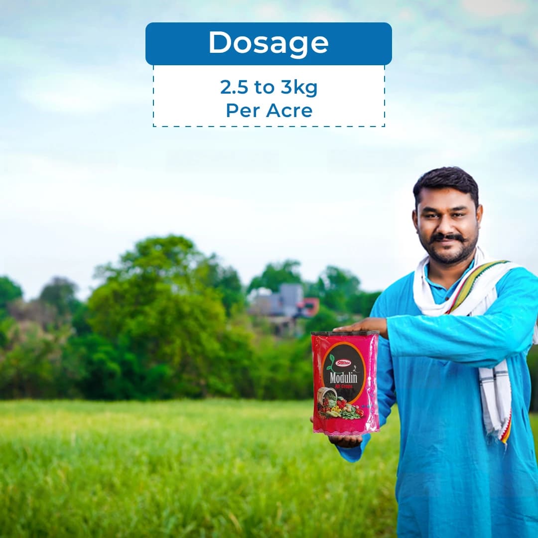 T.stanes Modulin Foliar Bio Stimulant, Organic Mineral Activators, Promote Plant Metabolic Activities for An Increase Number of Flowers and Growth - Image 5