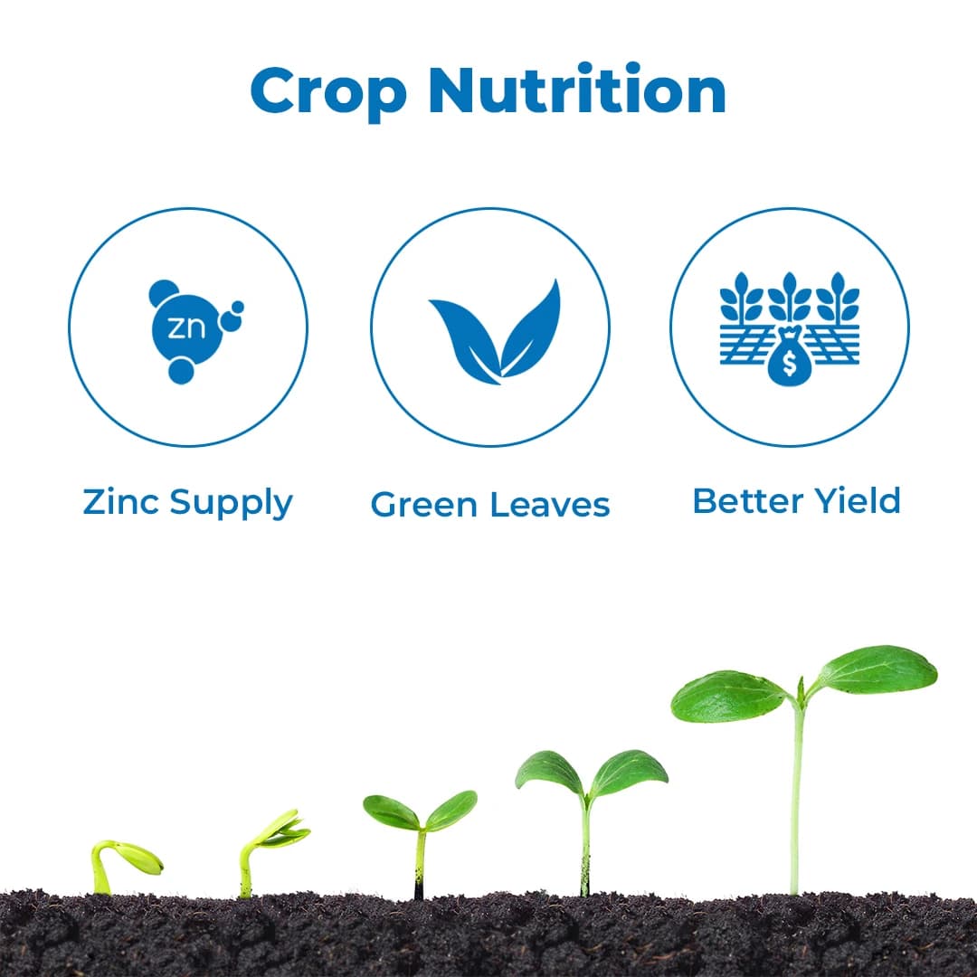 आनंद एग्रो इंस्टा प्रोचियल जिंक 12%, अमीनो चीलेटेड जिंक पाउडर, कृषि पत्तेदार उपयोग के लिए सूक्ष्म पोषक तत्व। - Image 3