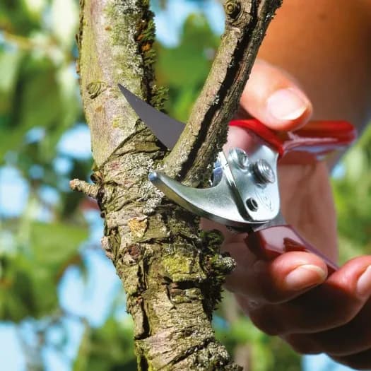 Wolf Garten Bypass Secateurs (RR-EN), Tree Trimmers Secateurs, Plant Cutter For Home Gardening Scissors - Image 1