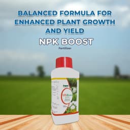 Cropex NPK Boost Fertilizer, NPK Fortified With Zinc And Boron, Increase Crop Growth And Development. 2