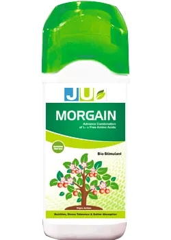 JU Morgain Biostimulant , Based on Highly Concentrated L Free Amino Acid Derived from Vegetal Origin