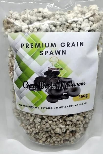 Shroomness Grey Oyster Mushroom Spawn, 100% Clean, Concentrated, Active Mycelium Grain Spawn. - Image 2