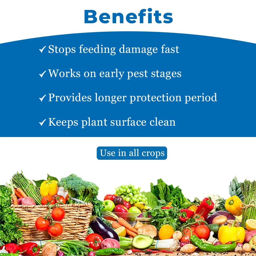 EBS Cargar Insecticide - Image 4