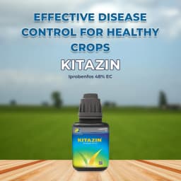 PI Kitazin Iprobenfos 48% EC, Broad Spectrum Systemic Fungicide, Low Toxic to Mammals and Fish, It Belongs to the Organophosphorus Group of Fungicides 2
