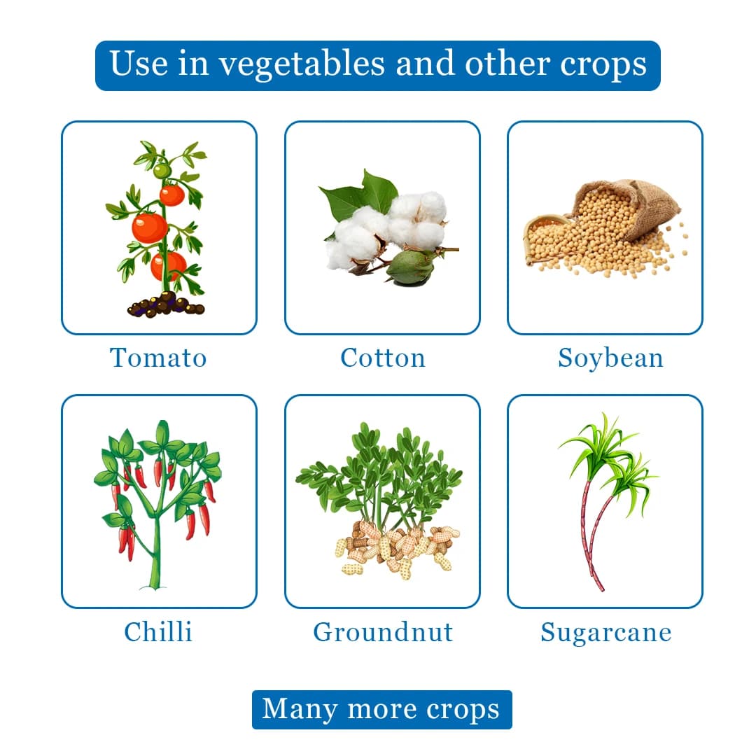 Tata Takumi Insecticide - Image 4