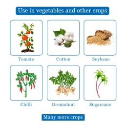 Tata Rallis Takumi Flubendiamide 20% WDG, Recommended For Heliothis In Cotton and Rice Stem Borer. 4