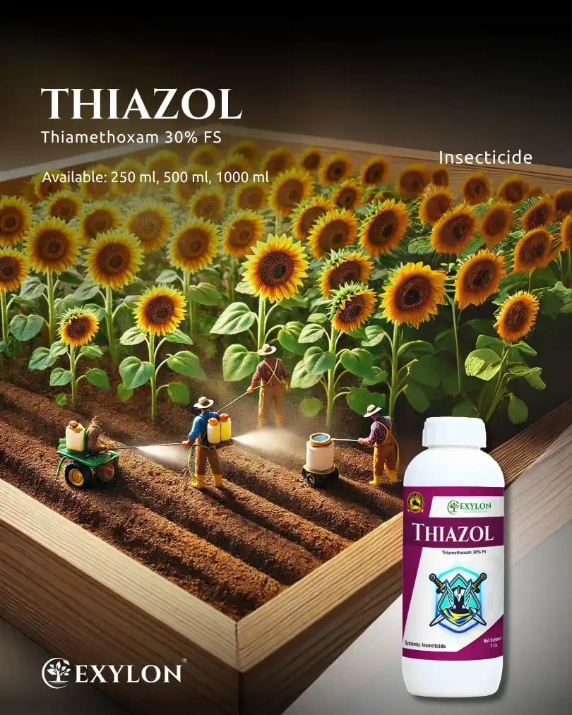 Exylon Thiazol Thiamethoxam 30% FS Insecticide, Efficient Seed Treatment For Early Pest Control