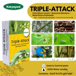 कात्यायनी ट्रिपल अटैक जैव कीटनाशक, वर्टिसिलियम लेकेनी, ब्योवेरिया बैसियाना और मेटारहिजियम एनीसोप्लिए का मिश्रण 2