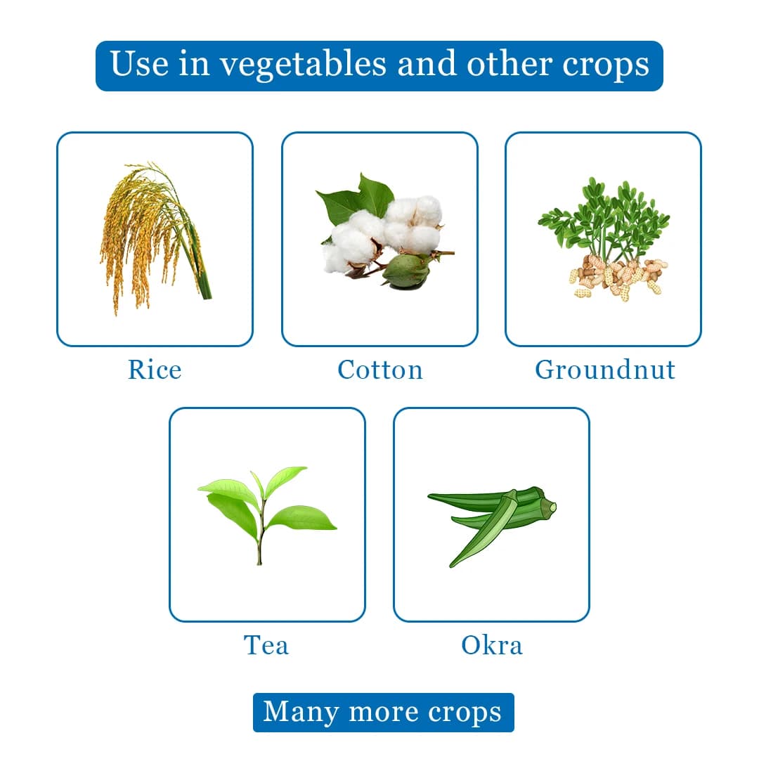 EBS Alphosides Insecticide - Quinalphos 25% EC - Image 5