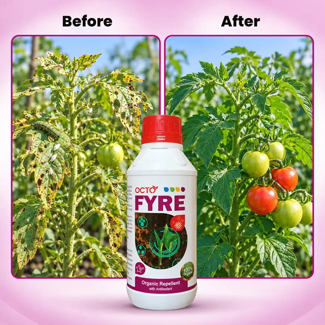 Octopus Octo Fyre Organic Pesticides, Biodegradable Solution For Thrips, Whitefly & Sucking Pests - Image 5