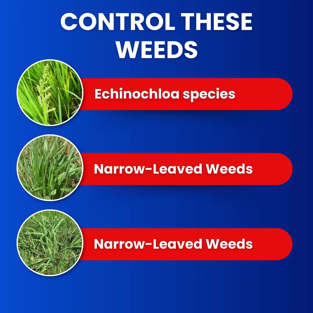 Katyayani FENOX Fenoxaprop-P-Ethyl 9.3% EC Herbicide, for Plants and Crops Soybean Rice Cotton Blackgram Onion Etc - Image 4