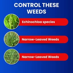 Katyayani FENOX Fenoxaprop-P-Ethyl 9.3% EC Herbicide, for Plants and Crops Soybean Rice Cotton Blackgram Onion Etc 4