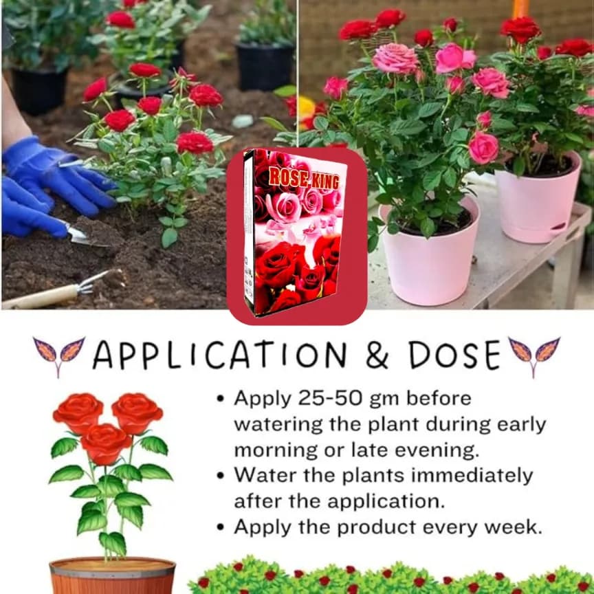 CROPKRAFT Rose King Fertilizer, Enhances Flowering For Both Hybrid And Traditional Rose Varieties - Image 6