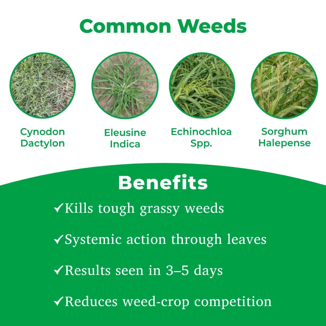 Adama Agil Herbicide - Image 3