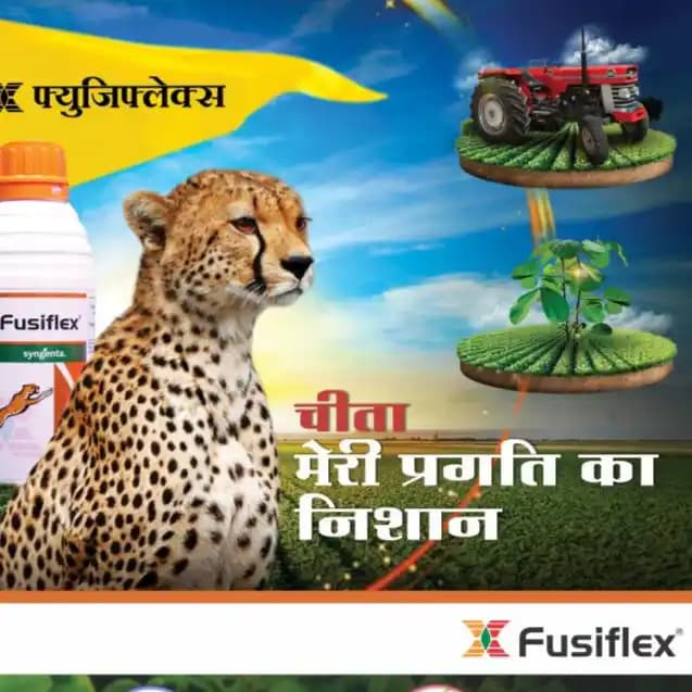 Syngenta Fusiflex Fomesafen 11.1 % + Fluazifop-p-butyl 11.1 % SL Herbicide, Effective Weed Control In Crop - Image 2