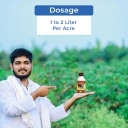 डॉ. बैक्टो कॉम्बो, एन.पी.के माइक्रोबियल लिक्विड कंसोर्टिया, लिक्विड बायो उर्वरक, पानी में घुलनशील, उपज की उपज और गुणवत्ता बढ़ाता है 5