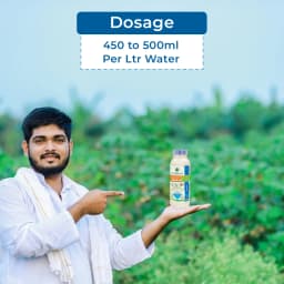 Best Agrolife Tricolor Trifloxystrobin 10% + Difenoconazole 12.5% + Sulphur 3% SC Fungicide with Prophylactic, Curative and Eradicative Action 5