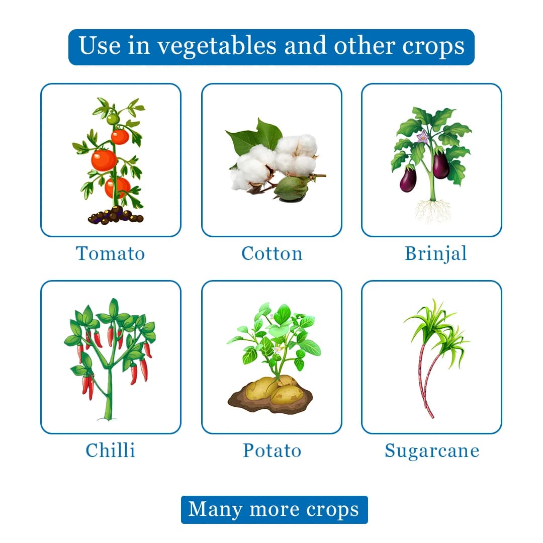 CYTO Plus Sucking Pest Controller, Effectively Controlling of Sucking Pest Especially Leaf Minor, Thrips, Mealy Bug, etc. - Image 4