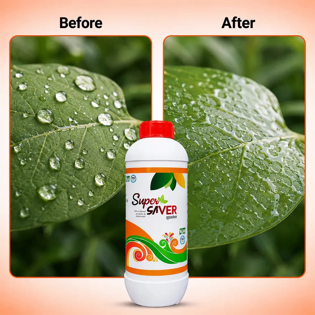 सुपरसेवर (सिलिकॉन आधारित टेक्निकल पेनेट्रेट्स और स्प्रेडर) उत्कृष्टता फैलाने वाला। - Image 7